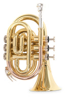 Roy Benson PT-101 Taschentrompete – kompakt, leicht, inkl. Etui
