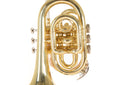 Roy Benson PT-101 Taschentrompete – kompakt, leicht, inkl. Etui