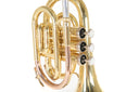 Roy Benson PT-101 Taschentrompete – kompakt, leicht, inkl. Etui