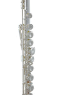 Roy Benson Querflöte FL-402E – E-Mechanik, Offset-G (neu, OVP)