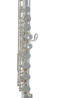 Roy Benson Querflöte FL-402E – E-Mechanik, Offset-G (neu, OVP)