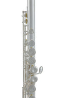 Roy Benson Querflöte FL-402E – E-Mechanik, Offset-G (neu, OVP)