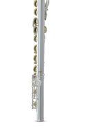 Roy Benson Querflöte FL-402E – E-Mechanik, Offset-G (neu, OVP)