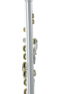 Roy Benson Querflöte FL-402E – E-Mechanik, Offset-G (neu, OVP)