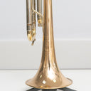 B&S 3137 G Challenger Bb-Trompete mit Goldmessingbecher