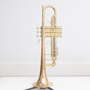 B&S 3137 G Challenger Bb-Trompete mit Goldmessingbecher