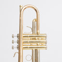 B&S 3137 G Challenger Bb-Trompete mit Goldmessingbecher