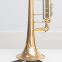 B&S 3137 G Challenger Bb-Trompete mit Goldmessingbecher