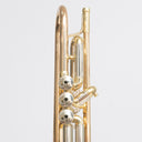 B&S 3137 G Challenger Bb-Trompete mit Goldmessingbecher