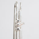 Carol Brass CTR-5050L Bb-Trompete versilbert mit Goldmessing-Mundrohr