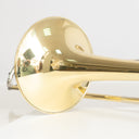 Michael Rath R900 Bassposaune Bb/F/Gb/D