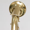 Cerveny ATH521 Bb-Tenorhorn, Messing lackiert