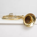 Cerveny ATH521 Bb-Tenorhorn, Messing lackiert