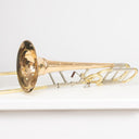 S.E. Shires TBQ30GRFD Tenorposaune mit Quartventil, Goldmessing, Screw Bell