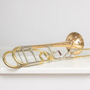 S.E. Shires TBQ30GRFD Tenorposaune mit Quartventil, Goldmessing, Screw Bell