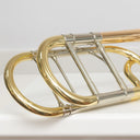 S.E. Shires TBQ30GRFD Tenorposaune mit Quartventil, Goldmessing, Screw Bell