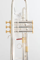 XO 1600IS Roger Ingram Bb-Trompete – Profi-Modell, versilbert & vergoldet, inkl. Zubehörset & Koffer