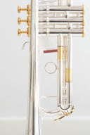 XO 1600IS Roger Ingram Bb-Trompete – Profi-Modell, versilbert & vergoldet, inkl. Zubehörset & Koffer