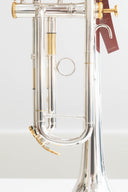 XO 1600IS Roger Ingram Bb-Trompete – Profi-Modell, versilbert & vergoldet, inkl. Zubehörset & Koffer