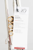 XO 1600IS Roger Ingram Bb-Trompete – Profi-Modell, versilbert & vergoldet, inkl. Zubehörset & Koffer