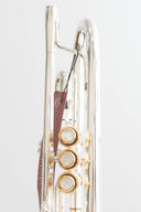 XO 1600IS Roger Ingram Bb-Trompete – Profi-Modell, versilbert & vergoldet, inkl. Zubehörset & Koffer