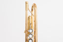 Yamaha YTR-4335GII Bb-Trompete – Goldmessing-Schallstück | Top-Zustand, kaum gespielt
