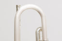 Carol Brass CTR-8880H-GSS-Bb-SSLB-SP (Satin Bell, ML-Bohrung) – professionelle Jazz/Allround Bb-Trompete