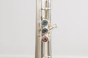 Carol Brass CTR-8880H-GSS-Bb-SSLB-SP (Satin Bell, ML-Bohrung) – professionelle Jazz/Allround Bb-Trompete