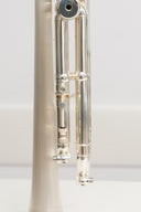 Carol Brass CTR-8880H-GSS-Bb-SSLB-SP (Satin Bell, ML-Bohrung) – professionelle Jazz/Allround Bb-Trompete