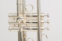 Carol Brass CTR-8880H-GSS-Bb-SSLB-SP (Satin Bell, ML-Bohrung) – professionelle Jazz/Allround Bb-Trompete