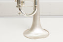 Carol Brass CTR-8880H-GSS-Bb-SSLB-SP (Satin Bell, ML-Bohrung) – professionelle Jazz/Allround Bb-Trompete
