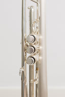 Carol Brass CTR-8880H-GSS-Bb-SSLB-SP (Satin Bell, ML-Bohrung) – professionelle Jazz/Allround Bb-Trompete