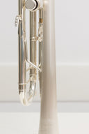 Carol Brass CTR-8880H-GSS-Bb-SSLB-SP (Satin Bell, ML-Bohrung) – professionelle Jazz/Allround Bb-Trompete