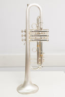 Carol Brass CTR-8880H-GSS-Bb-SSLB-SP (Satin Bell, ML-Bohrung) – professionelle Jazz/Allround Bb-Trompete