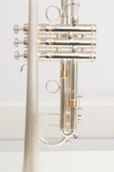 Carol Brass CTR-8880H-GSS-Bb-SSLB-SP (Satin Bell, ML-Bohrung) – professionelle Jazz/Allround Bb-Trompete