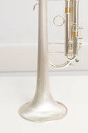 Carol Brass CTR-8880H-GSS-Bb-SSLB-SP (Satin Bell, ML-Bohrung) – professionelle Jazz/Allround Bb-Trompete