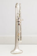 Carol Brass CTR-8880H-GSS-Bb-SSLB-SP (Satin Bell, ML-Bohrung) – professionelle Jazz/Allround Bb-Trompete