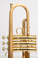 Carol Brass CTR-8882L-GLT-Bb-SLB-L – Trompete mit Brushed Satin Bell