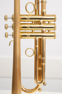 Carol Brass CTR-8882L-GLT-Bb-SLB-L – Trompete mit Brushed Satin Bell