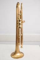 Carol Brass CTR-8882L-GLT-Bb-SLB-L – Trompete mit Brushed Satin Bell