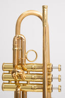 Carol Brass CTR-8882L-GLT-Bb-SLB-L – Trompete mit Brushed Satin Bell