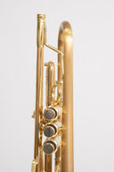 Carol Brass CTR-8882L-GLT-Bb-SLB-L – Trompete mit Brushed Satin Bell