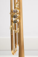 Carol Brass CTR-8882L-GLT-Bb-SLB-L – Trompete mit Brushed Satin Bell