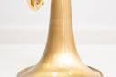 Carol Brass CTR-8882L-GLT-Bb-SLB-L – Trompete mit Brushed Satin Bell
