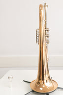 Arnolds & Sons aS-B-Flügelhorn AFH-4050 – Goldmessing, Trigger, Gigbag (neu)