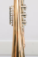 Arnolds & Sons aS-B-Flügelhorn AFH-4050 – Goldmessing, Trigger, Gigbag (neu)