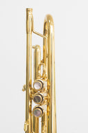 Carol Brass CTR-5000L-YST-Bb-Lac Bb-Trompete – Neu & OVP