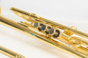 Carol Brass CTR-5000L-YST-Bb-Lac Bb-Trompete – Neu & OVP