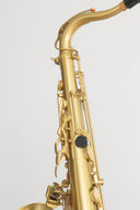 Expression T-418 HFL Tenor-Saxophon in Bb – Kupfer matt