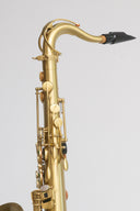 Expression T-418 HFL Tenor-Saxophon in Bb – Kupfer matt
